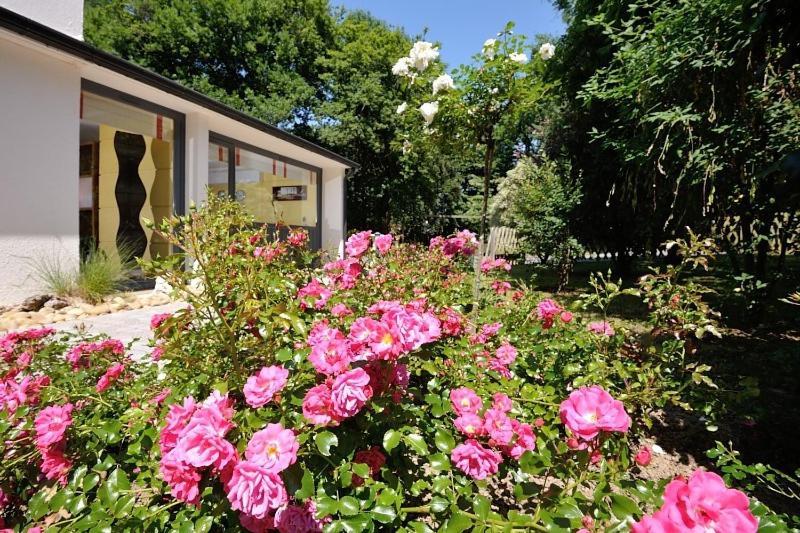 Hotel Du Parc Nantes Ouest Orvault Eksteriør billede